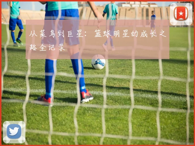 从菜鸟到巨星：篮球明星的成长之路全记录